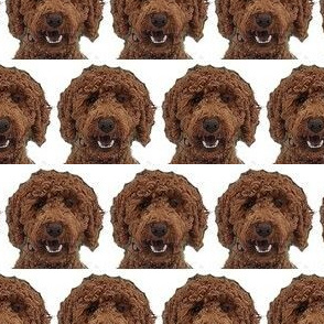 Chocolate brown doodle dog fabric - Labradoodle, Poodle, Goldendoodle