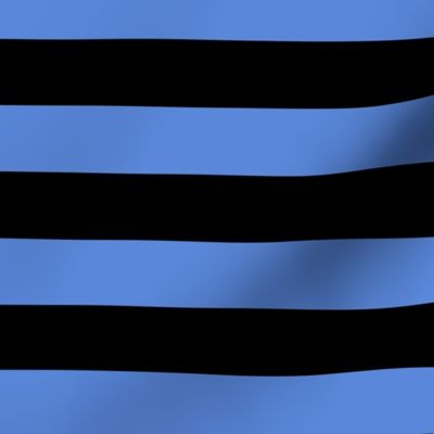 Large Cornflower Blue Awning Stripe Pattern Horizontal in Black
