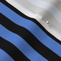 Cornflower Blue Awning Stripe Pattern Vertical in Black