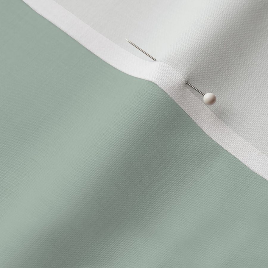 Muted Sea Foam Green | Solid Color