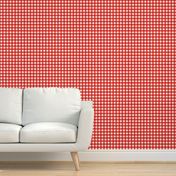 Coral Gingham Large