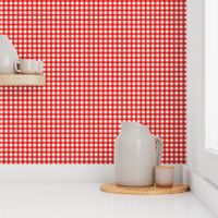 Coral Gingham Small