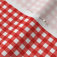 Coral Gingham Small