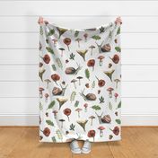 Large - Woodland Snails and Mushrooms on White Background