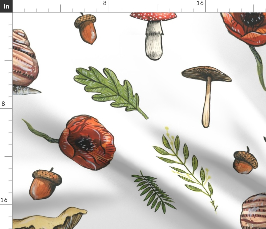 Large - Woodland Snails and Mushrooms on White Background