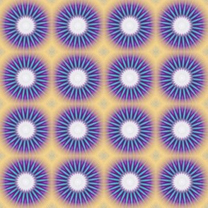 Cloning of Sea Urchins