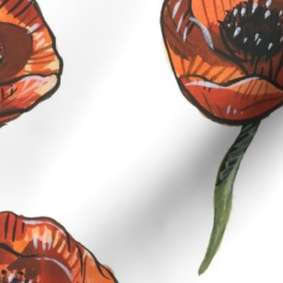 Poppies - Large