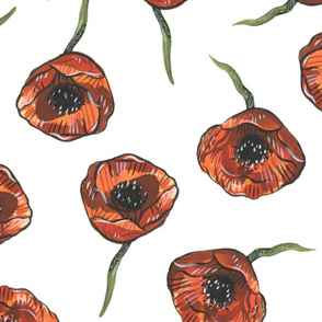 Poppies - Large