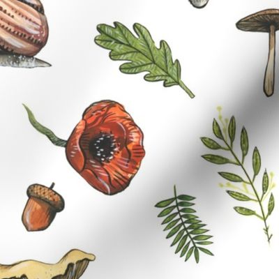 Medium - Woodland Snails and Mushrooms on White Background