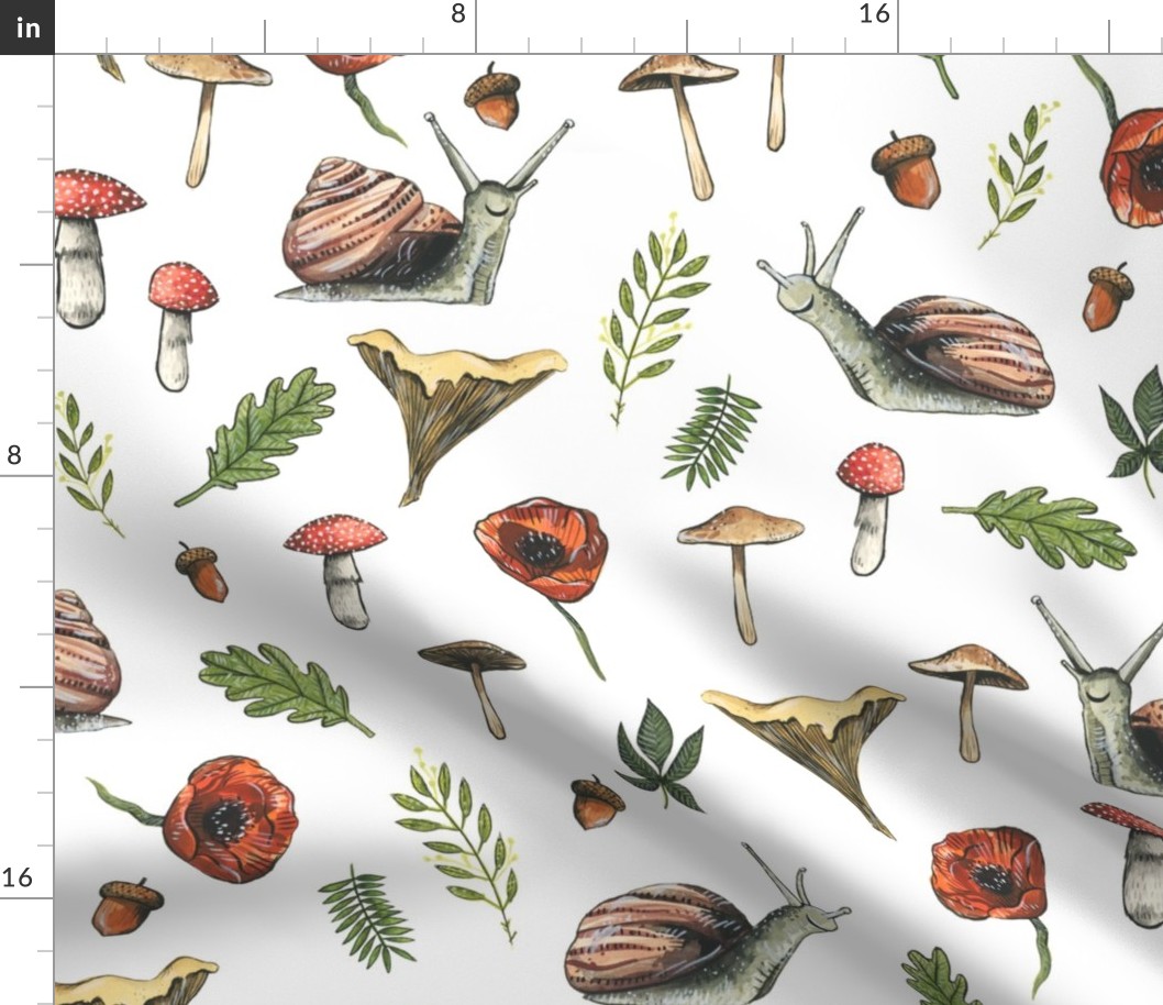 Medium - Woodland Snails and Mushrooms on White Background