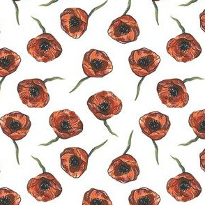 Poppies - Small 