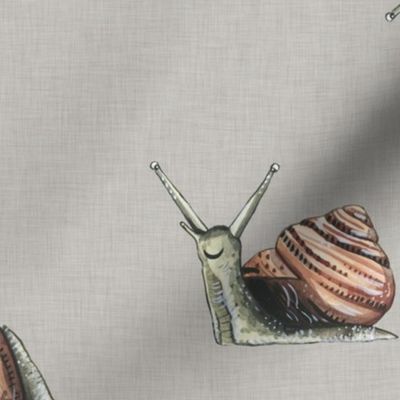 Medium Snail on Linen