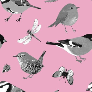 Birds bw pink background