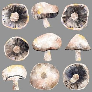 Mushrooms Small