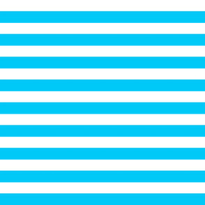 1 inch blue white stripes