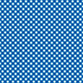 Bluebell Gingham Small Bias