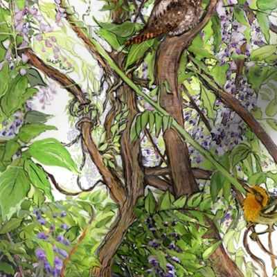 Wisteria Warbler Whippoorwill Watercolor