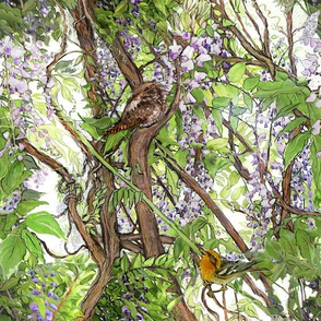 Wisteria Warbler Whippoorwill Watercolor