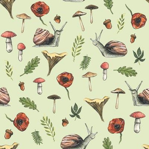 Small - Woodland Snails and Mushrooms on Green Background