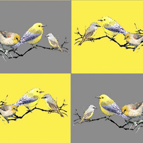 Yellow & Gray Birds