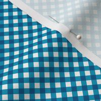 Caribbean Gingham Small Bias