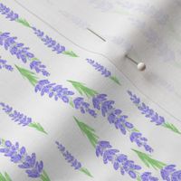 lavender stripes - white