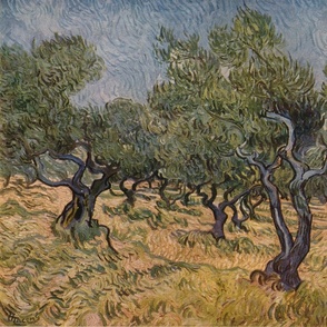 Vincent van Gogh Olive Orchard 1889