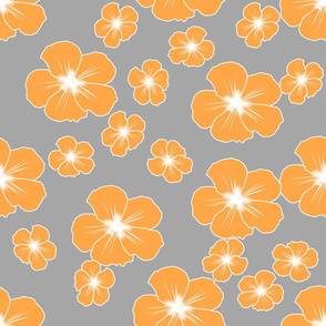 orange geranium flowers