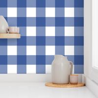 Large Blue and White Gingham