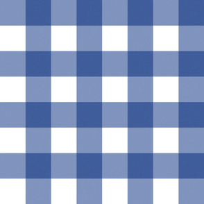 Large Blue and White Gingham