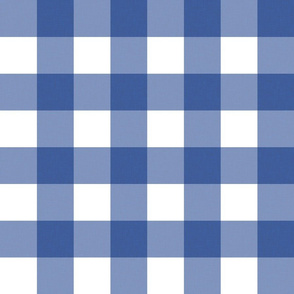 Medium Blue and White Gingham