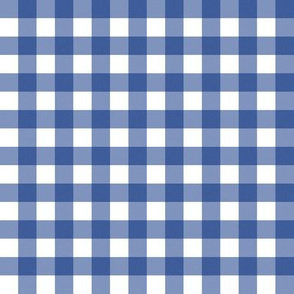 Small Blue and White Gingham