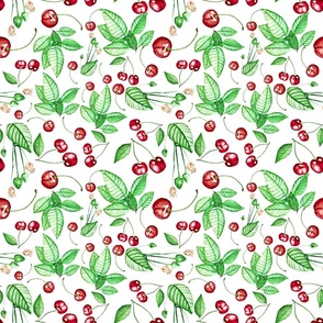 Cherries and leaves