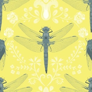 Dragonflies in Sunshine