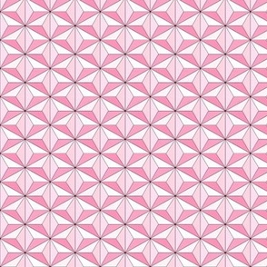 Geodesic - Pink
