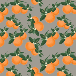 Wild Oranges