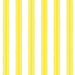 TickingStripe-Yellow