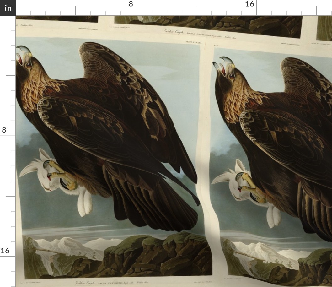 Plate 181 Goldon Eagle from Audubon Birds of America