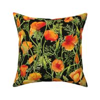 California Poppies Black - Large