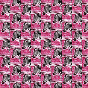 zebradrama-pinky