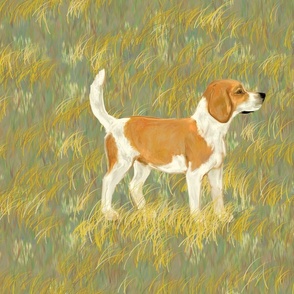 Lemon Beagle in Grassy Field for Pillow