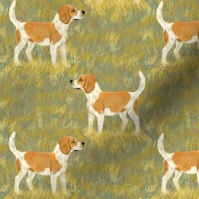 Lemon Beagle in Grassy Field