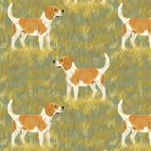 Lemon Beagle in Grassy Field