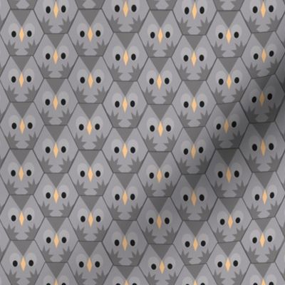 big grey hexi owls_edited-1