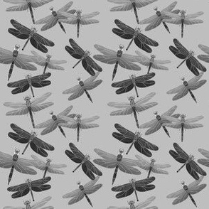 Dragonflies Pattern - Black and Gray Palette