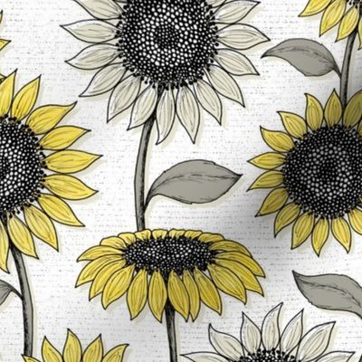 Sunflowers white