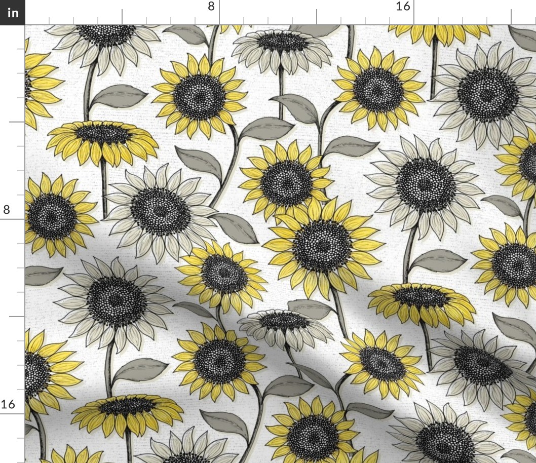 Sunflowers white