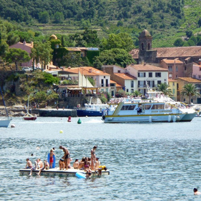 Swimming in Coullioure Harbour