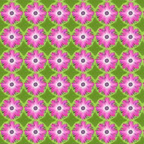 BYF2 - Small - Bulls Eye Floral in Pink, Lime and Olive Green