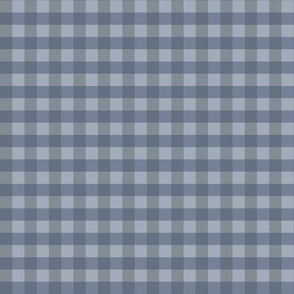 small light blue and blue gingham flwrht